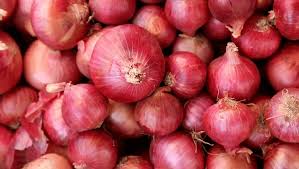 Onion Anudan Yojana 