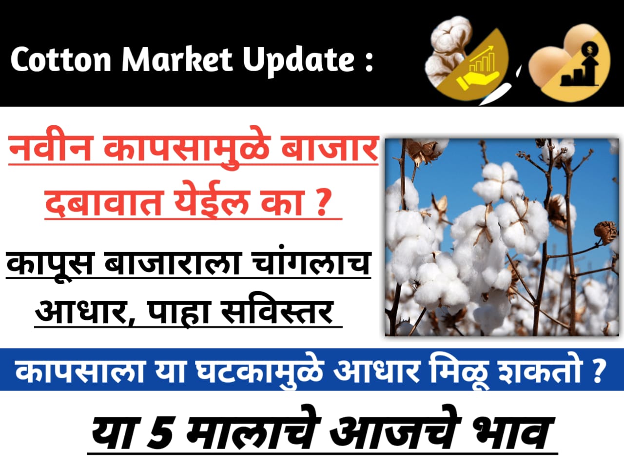 Cotton Yarn Market 