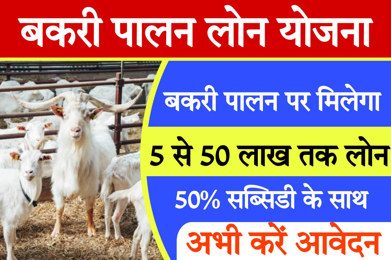 goat farming loan