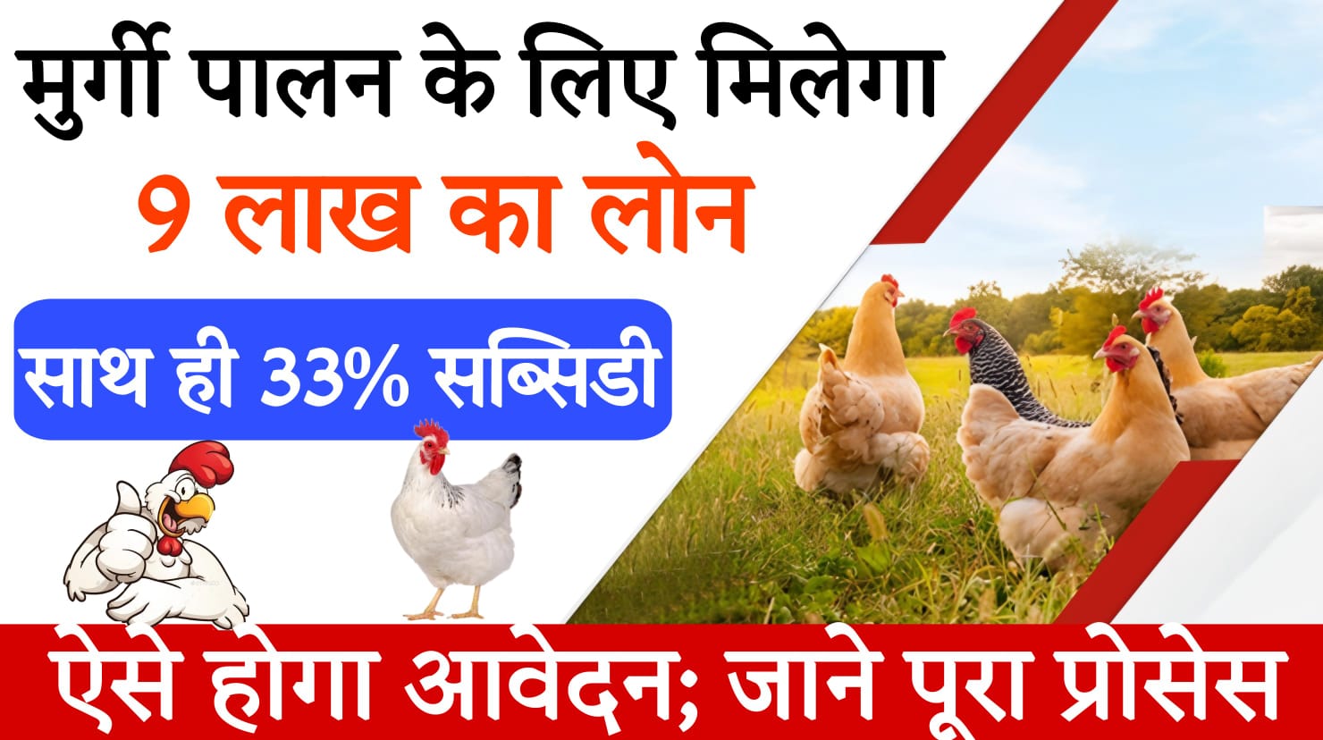 poultry farming project